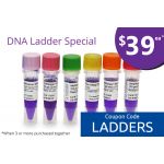 50 bp DNA Ladder,  100 loads,   Manufacturer reference:   13525