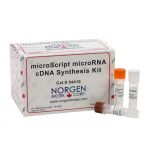 microScript microRNA cDNA Synthesis Kit,  50 Reactions,   Manufacturer reference:   54410