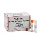 TruScript First Strand cDNA Synthesis Kit for mRNA,  50 Reactions,   Manufacturer reference:   54400