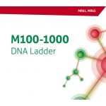 MR65,  M100-1000 DNA Ladder ready-to-use,  50-100 lanes