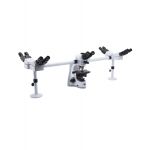 B-510-5, Trinocular discussion microscope, 5 head, 1000x, IOS, multiplug