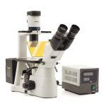 IM-3FL4,  Inverted trinocular HBO fluorescence microscope, 400x, IOS F, B & G filter set. For research applications. Dye-cast frame, with high stability and ergonomy, for transmitted light and and reflected fluorescence observation.