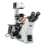 IM-5FLD,  Inverted trinocular LED fluorescence microscope, B, G & UV filter set, IOS, without objectives plug