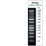 MR201,  M50pz DNA Ladder ready-to-use   ,  50-100 lanes