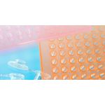 PCR-96-A,  96 Well Assorted PCR Microplate,  10  pcs. per pack, 5  packs per case