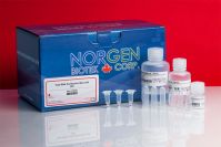 Total RNA Purification Plus Micro Kit,  50 Preps,   Manufacturer reference:   48500