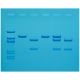 Cholesterol Diagnostics, Manufacturer reference: 118