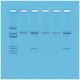 Detection of Genetically Modified Organisms, Manufacturer reference: 121