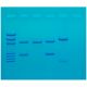 DNA Fingerprinting by PCR Amplification, Manufacturer reference: 130