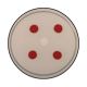 Forensic Antigen Detection, Manufacturer reference: 192