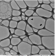 1GLC300Cu-10,     Graphene on Lacey Carbon, 300 Cu, 1 layer