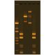 Anaylsis of DNA Methylation Using Restriction Enzymes, Manufacturer reference: 205*