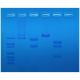 Restriction Enzyme Mapping, Manufacturer reference: 206