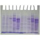 Fingerprinting of Bacterial Proteins, Manufacturer reference: 252