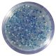 Blue/White Cloning of a DNA Fragment and Assay of B-galactosidase, Manufacturer reference: 300