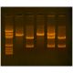 In Search of the Cholesterol Gene, Manufacturer reference: 316