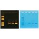 PCR Amplification of DNA, Manufacturer reference: 330