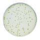 Investigating Synthetic Biology, Manufacturer reference: 331