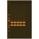 The Mother of All Experiments: Exploring Human Origin by PCR Amplification of Mitochondrial DNA, Manufacturer reference: 332