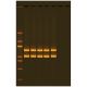 Human PCR Tool Box™, Manufacturer reference: 369