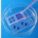 70460-2R1,     CHAMBERED COVERGLASS, 2WELL, 15mmDIA, 20/PK