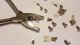 73855,  Ear Tag Applicator, 1 pcs.