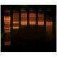 DNA Damage and Repair, Manufacturer reference: 957