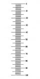 AGL4035,  Graticule B 16mm Diameter