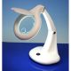 AGO6170,  12W Daylight Table Magnifier Lamp