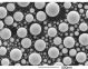 AGS1988U,  Low KV Tin on Carbon Specimen Unmounted