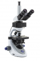 TRINOCULAR LED FLUORESCENCE MICROSCOPE B-293LD1.50, IOS, MULTI-PLUG