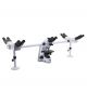 B-510-5, Trinocular discussion microscope, 5 head, 1000x, IOS, multiplug