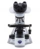 B-510ASB Trinocular phase contrast microscope, 1000x, IOS, W&B 12.5x eyepieces, multiplug