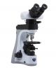 B-510POL-I Trinocular polarizing microscope, 500, IOS, transmitted & incident lighg, multiplug