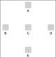 66108-01,     10x10 Grid, 0.1mm Coverslip 25/PK
