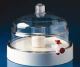71236,     VACUUM BELL JAR & PLATE