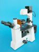 BC-364,     Inverted Epi-Fluorescence Compound Microscope