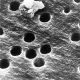 AGG3808,  13mm dia 0.8um Nuclepore Filters (Pack of 100)