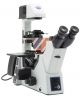 IM-5FLD,  Inverted trinocular LED fluorescence microscope, B, G & UV filter set, IOS, without objectives plug