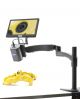 IS-03, Autofocus HDMI camera on industrial stand, with HDMI LCD 11.5 screen, multiplug
