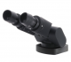 Binocular ERGO head