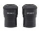 WF 20x/12 eyepieces (pair), high eyepoint, focusable, with rubber cup