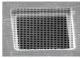 Q225-NR1.3,     QUANTIFOIL; R1.2/1.3-1.2UM 2.5UM NICKEL 25/PK