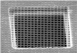 Q225-CR1,     QUANTIFOIL; 200#;1.2um; COPPER