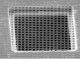 Q250-CR1.3,     QUANTIFOIL; R1.2/1.3 - 1.2UM 2.5UM COPPER 50/PK