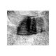 AGS140,  Graphitised Carbon Black , 3.05mm grid Plane Spacing 0.34nm