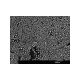 AGS1987,  High Resolution Au-C Test on 12.5mm Pin Stub