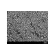 AGS1969A,  High Resolution Test (Gold) on JEOL Stub